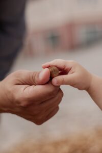 Kinderhand gibt einem Erwachsenen einen kleinen Naturfund in die Hand – detailreiche Familienfotografie im Landkreis Ansbach